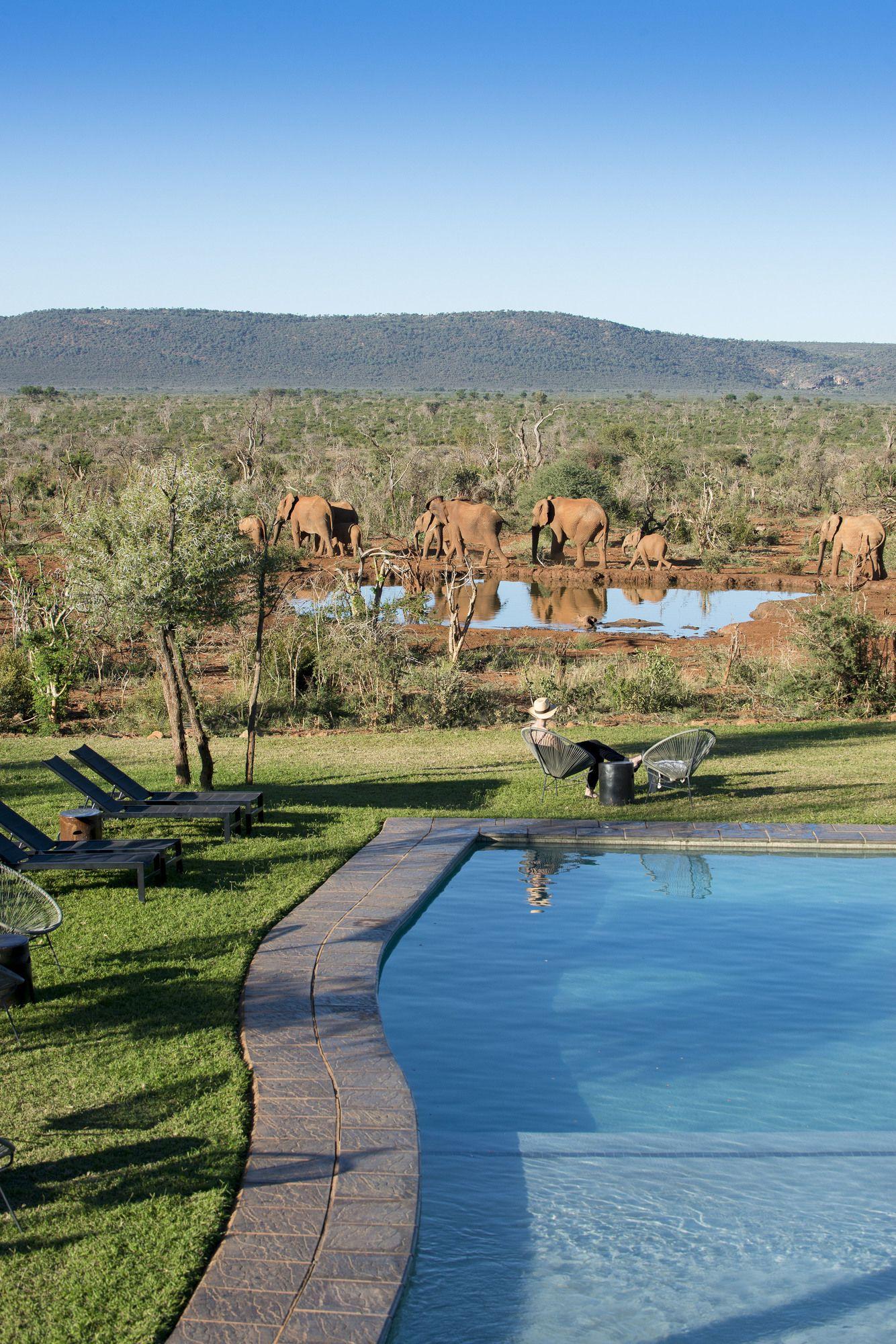 Madikwe Safari Lodge Madikwe viltreservat Exteriör bild