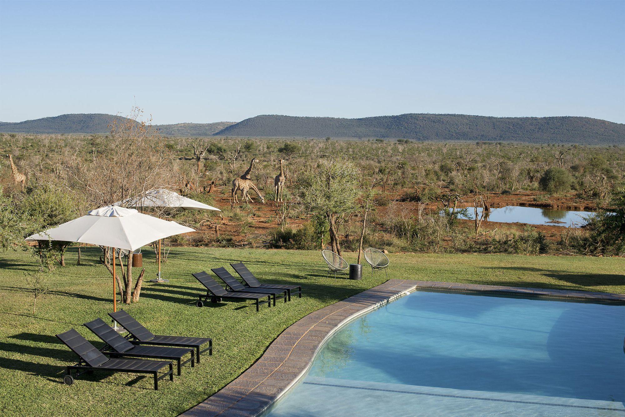 Madikwe Safari Lodge Madikwe viltreservat Exteriör bild