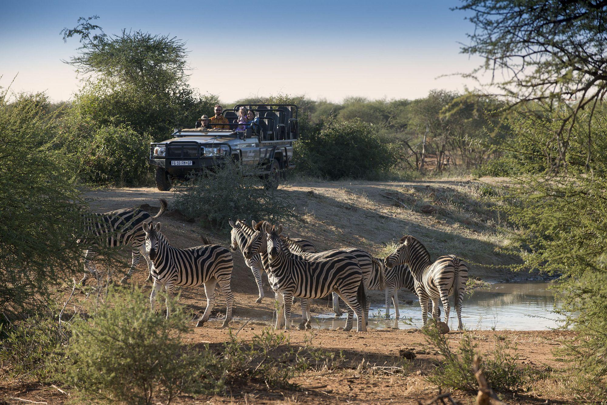 Madikwe Safari Lodge Madikwe viltreservat Exteriör bild
