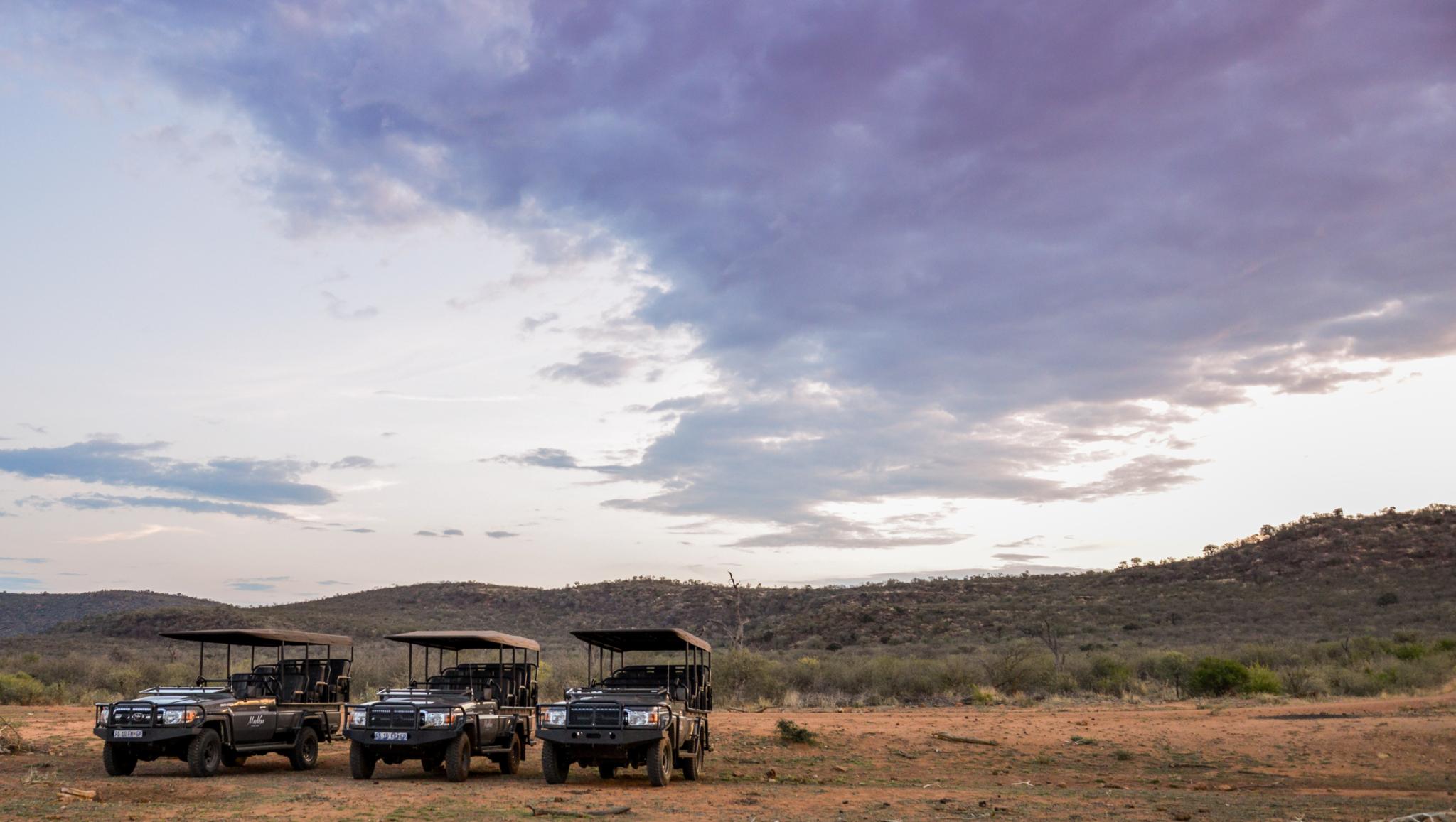 Madikwe Safari Lodge Madikwe viltreservat Exteriör bild