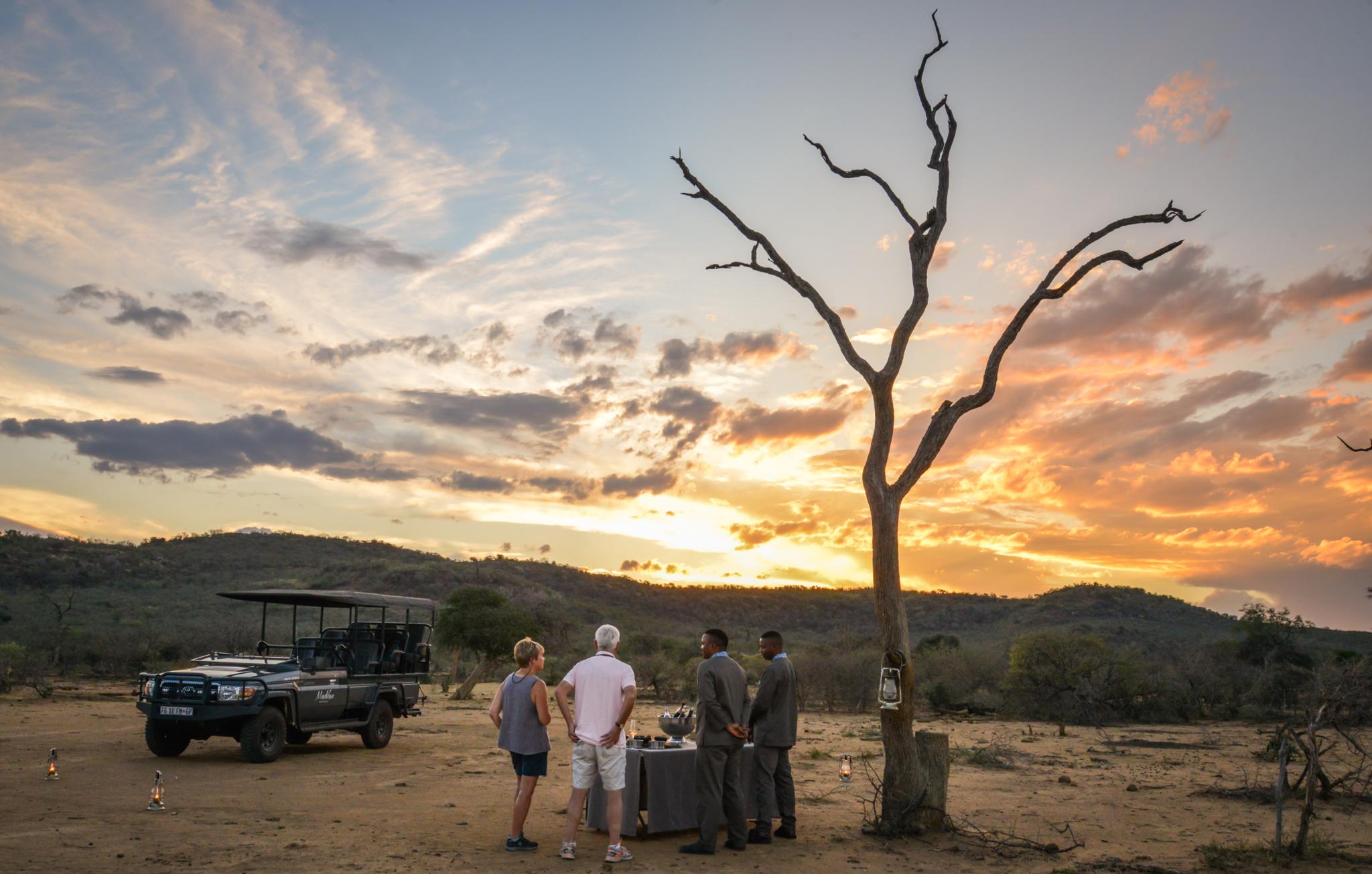 Madikwe Safari Lodge Madikwe viltreservat Exteriör bild